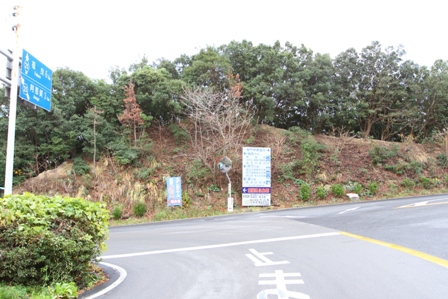 鳴門岬福良市街交差点