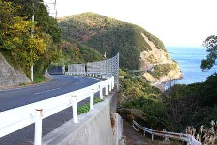 南淡路水仙ライイン