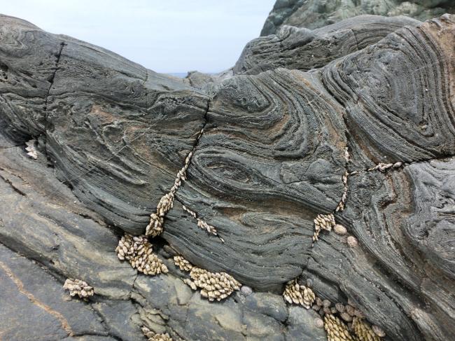 褶曲して地層が同心円状となった岩肌（岩の中央部と右上部）