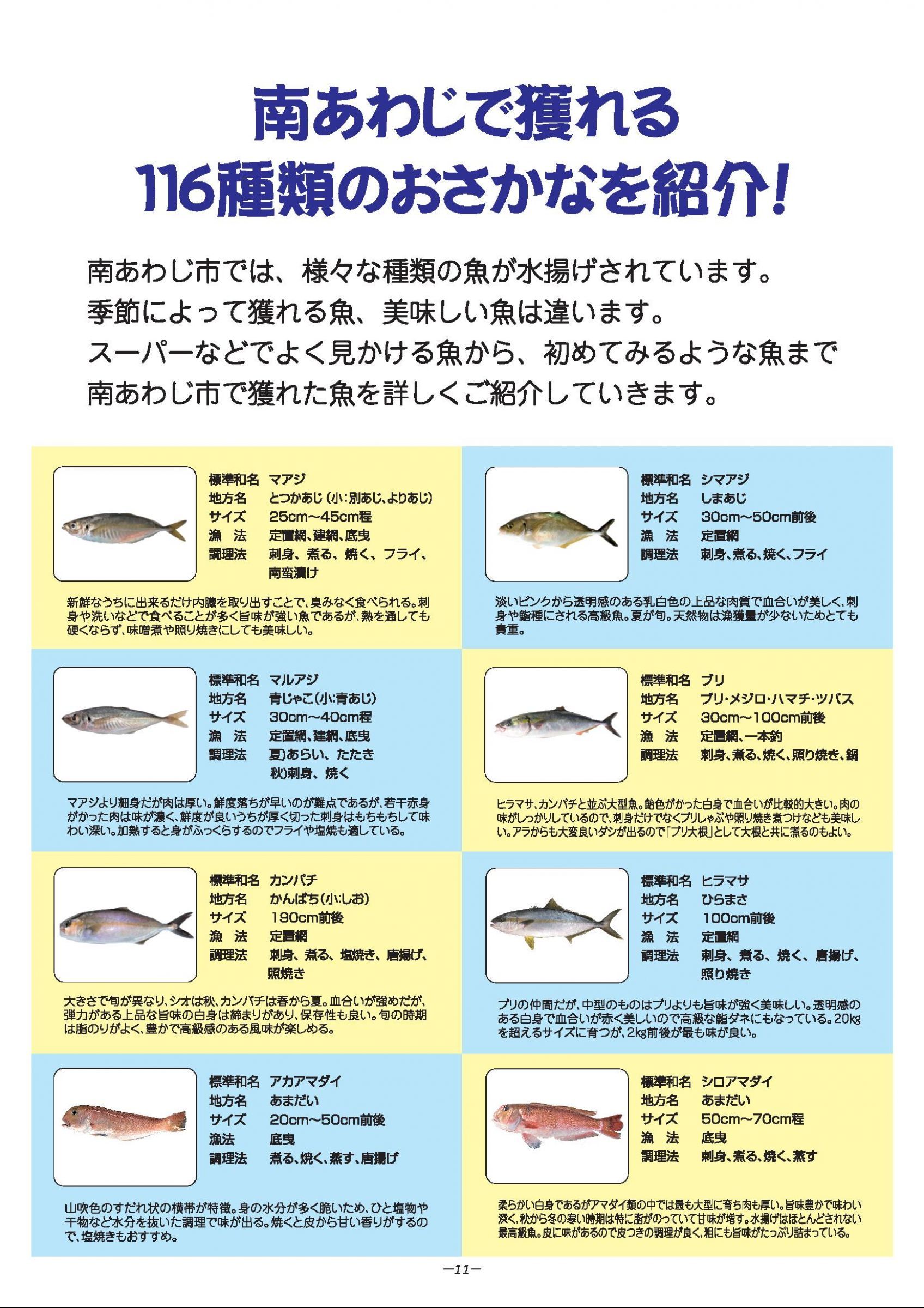 ウェブブック - 南あわじのさかな 旬のカタログ