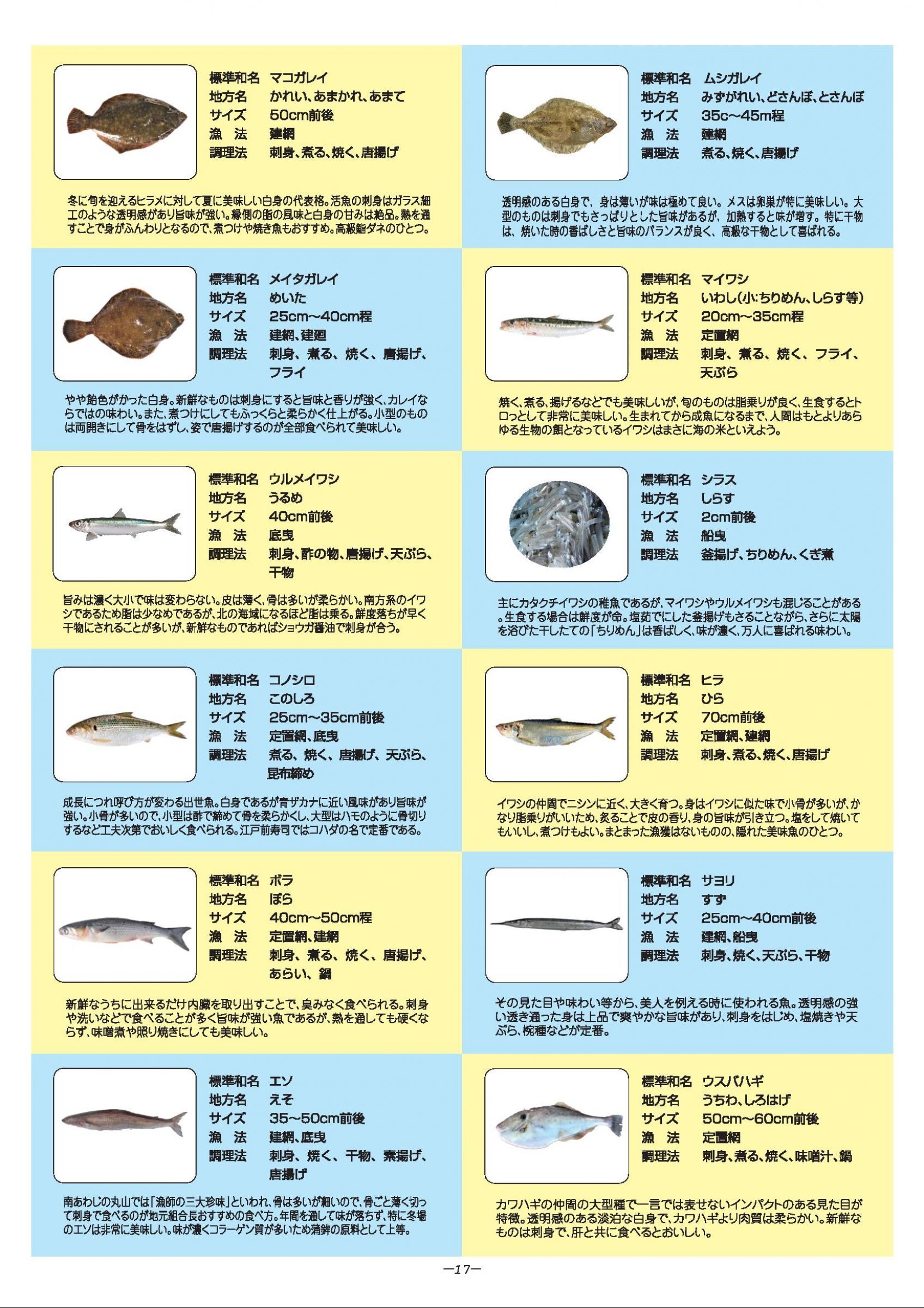ウェブブック 南あわじのさかな 旬のカタログ
