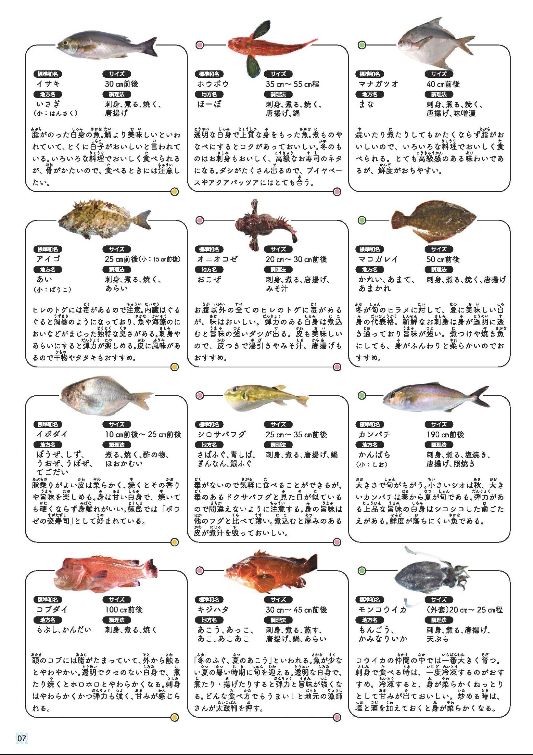 ウェブブック - はじめましての南あわじお魚ブック