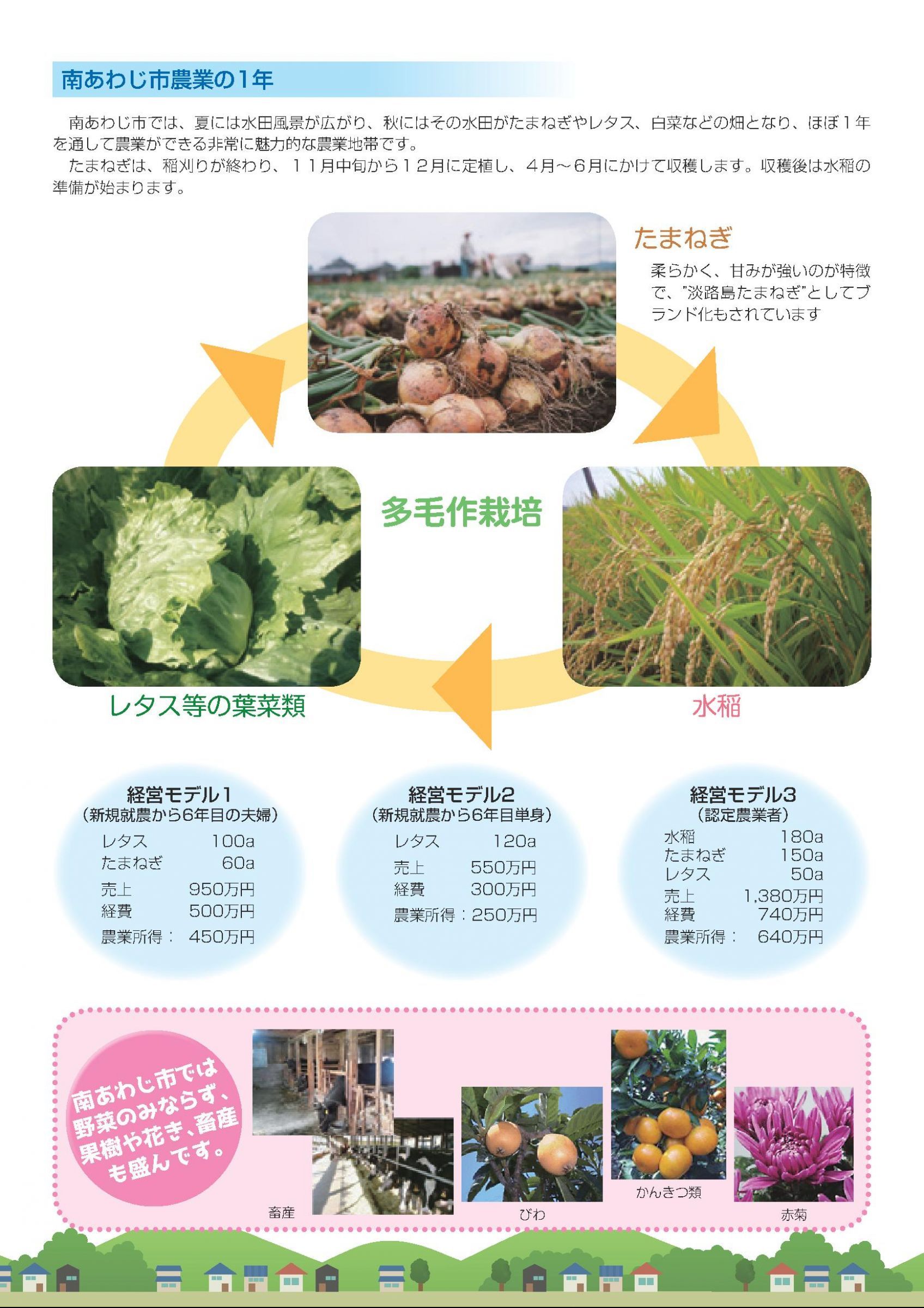 ウェブブック - 南あわじ市就農・移住パンフレット 3ページ目