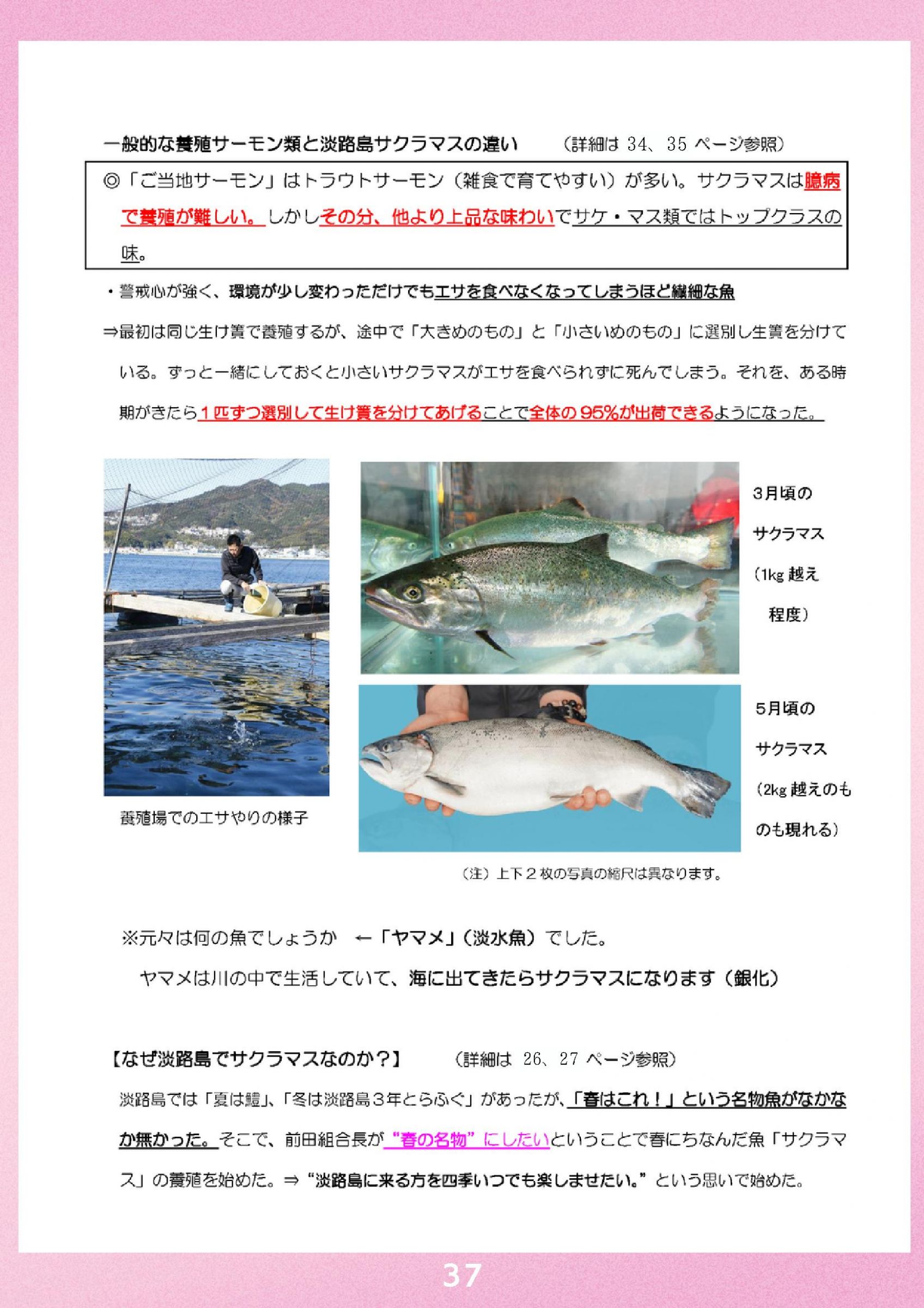 ウェブブック - 2024 SPRING 南あわじ市最新情報【後半】 15ページ目