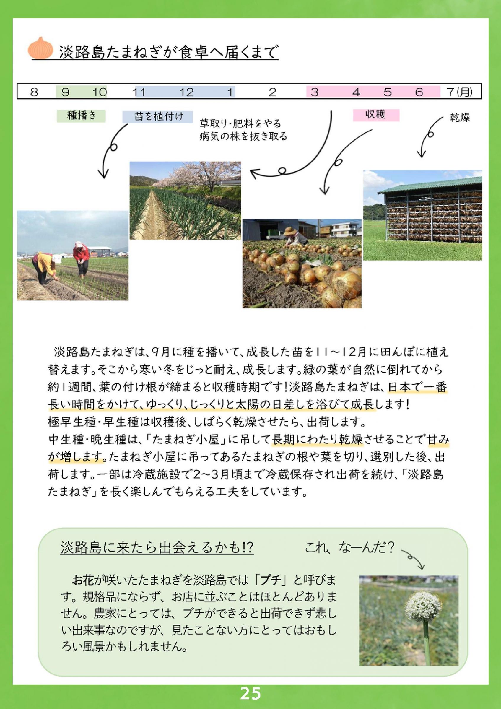 ウェブブック - 2024 SPRING 南あわじ市最新情報【後半】 3ページ目