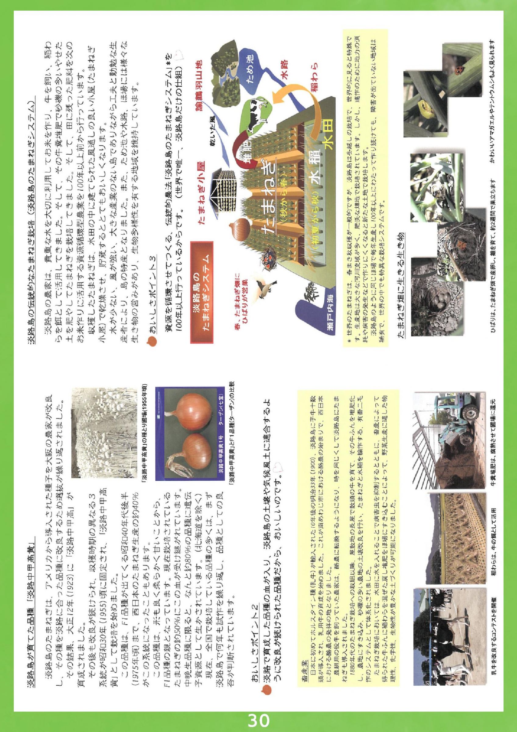 ウェブブック - 2024 SPRING 南あわじ市最新情報【後半】 8ページ目