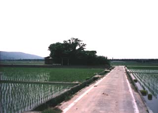 おのころ島神社の周辺