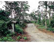 沼島遊歩道風景