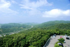 展望台からの風景