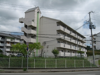 県営　緑倭文鉄筋