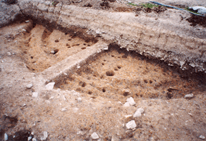 発見された竪穴住居跡の写真