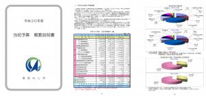 平成30年度予算概要のイメージ図