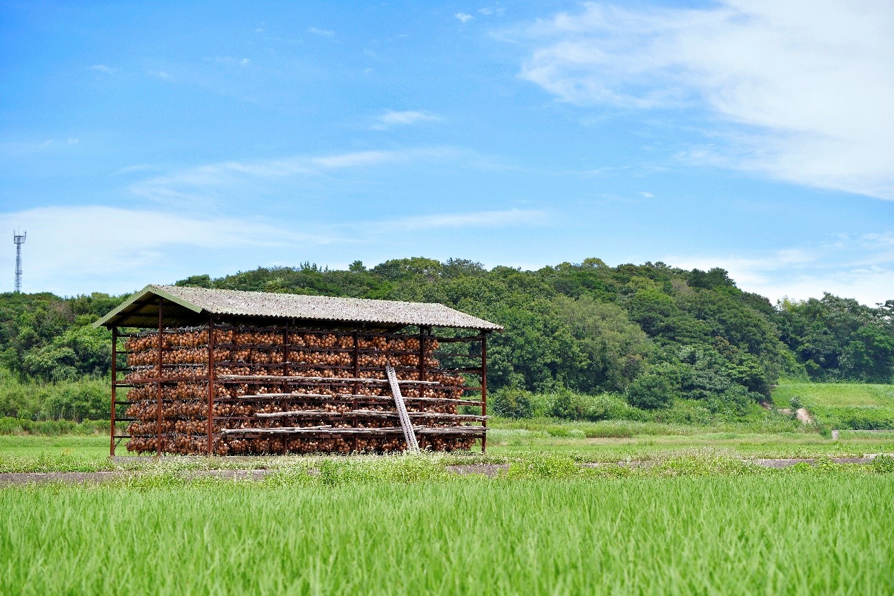 農業遺産　たまねぎ小屋