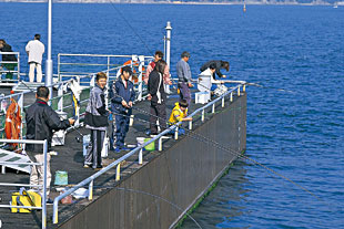 海釣り公園