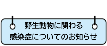 野生動物に関わる感染症についてのお知らせ