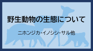 野生動物の生態について