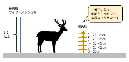 シカ柵整備