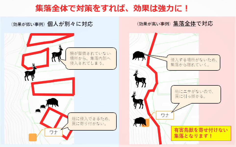 防護柵整備事例