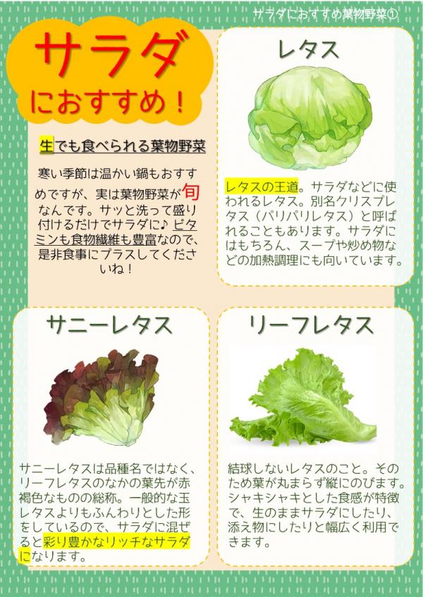 サラダ野菜