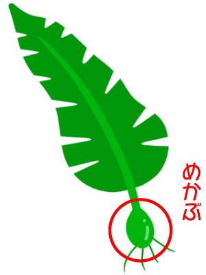 わかめ