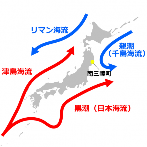 なし