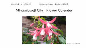 Flower Calendar_02_表紙
