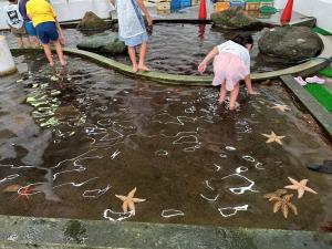 山口県岡山県②