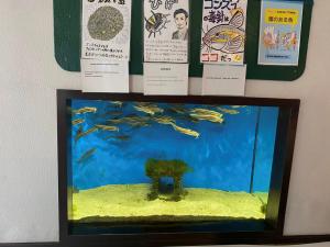 山口県岡山県③