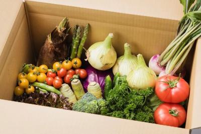 野菜BOX