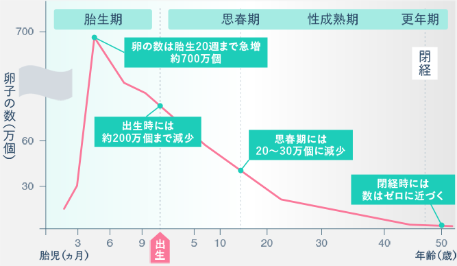 図： 女性の各年齢における卵子の数の変化
