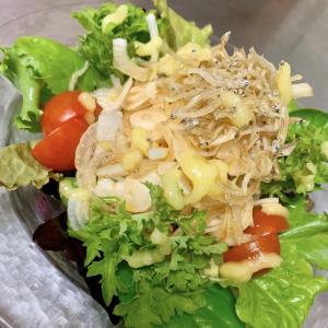 カリカリちりめん玉葱サラダ