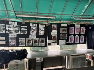 おおもり農園②