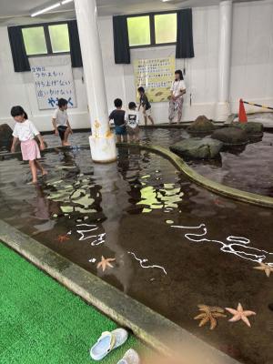 なぎさ水族館②