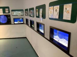 なぎさ水族館①