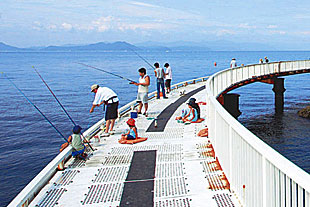 丸山海釣り公園