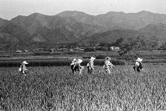 淡路巡礼