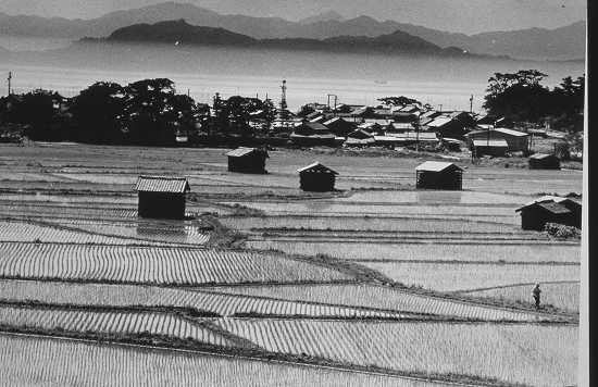 玉ねぎ小屋のある田園風景