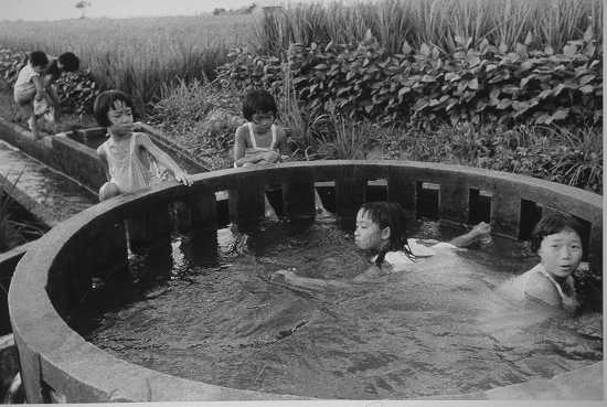 子どもたちの水遊び