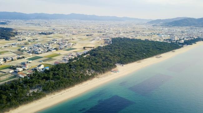 上空からの慶野松原と奥に広がる三原平野