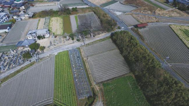 南側から観た養宜館跡。土塁跡に木が生い茂りその形を認めることができる