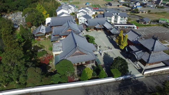 上空からの護国寺全景