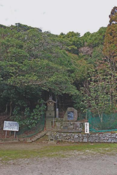 諭鶴羽神社境内から見えるアカガシ群落