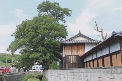 高塀つきあたりに建つ家具蔵