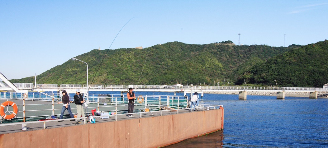 海釣り公園メガフロート画像