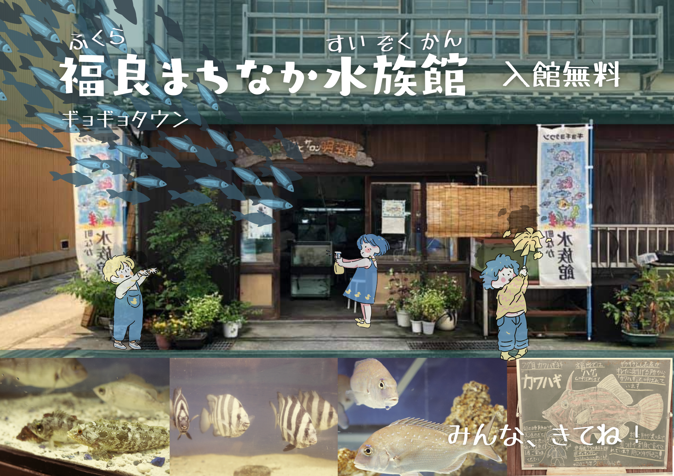 ギョギョタウン