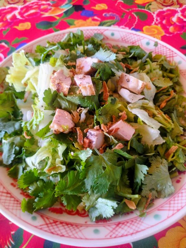 淡路鶏とパクチーたっぷりサラダ