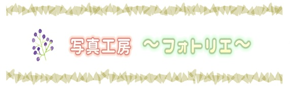 写真工房フォトリエロゴ